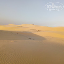 фото из отзыва ID 1710983