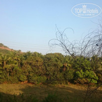 фото из отзыва ID 1711003