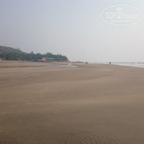 фото из отзыва ID 1711003