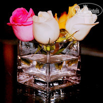 фото из отзыва ID 1711030