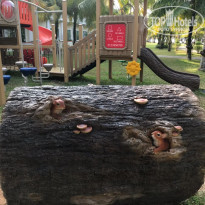 фото из отзыва ID 1711075