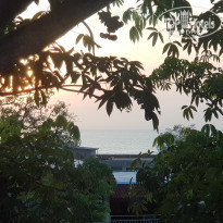 фото из отзыва ID 1711081