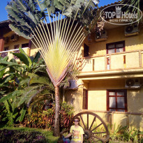 фото из отзыва ID 1711097