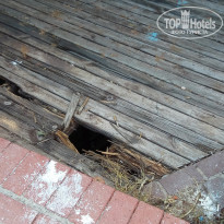 фото из отзыва ID 1711087