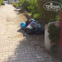 фото из отзыва ID 1711087