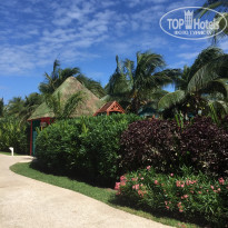 фото из отзыва ID 1711111