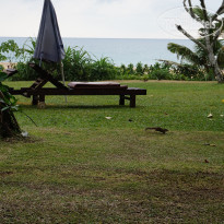 фото из отзыва ID 1711225