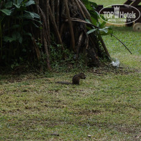 фото из отзыва ID 1711225