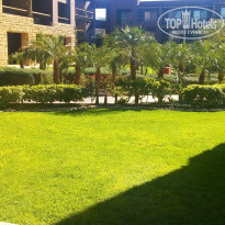 фото из отзыва ID 1711261