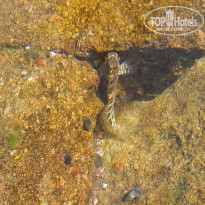 фото из отзыва ID 1711261