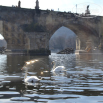 фото из отзыва ID 1711329