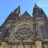 фото из отзыва ID 1711329