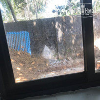 фото из отзыва ID 1711364