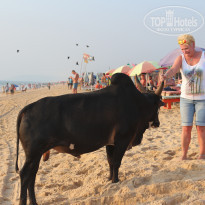 фото из отзыва ID 1711385