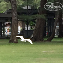 фото из отзыва ID 1711419