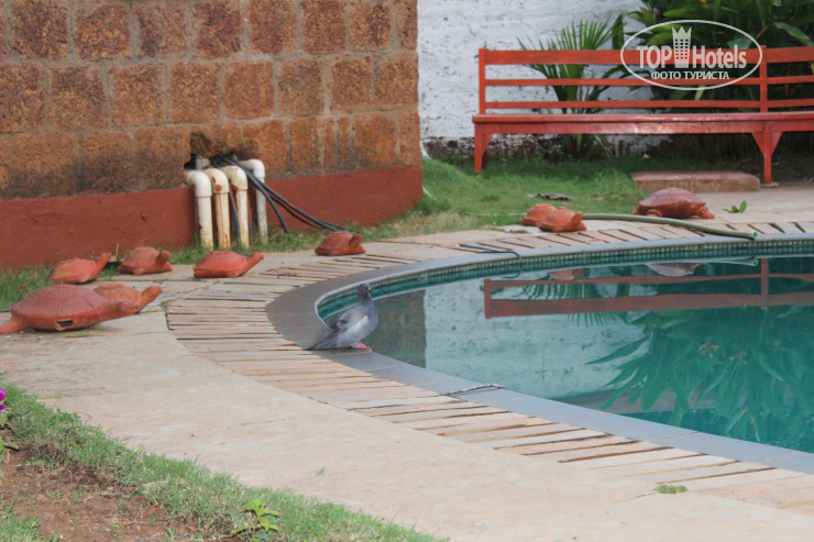 New photos from tourists Pirache Homes Apartments and Villas