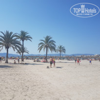 фото из отзыва ID 1711506