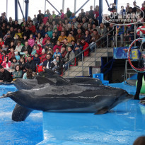 фото из отзыва ID 1711609