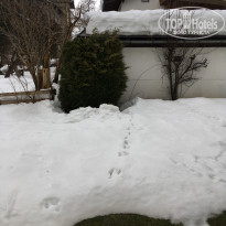 фото из отзыва ID 1711652