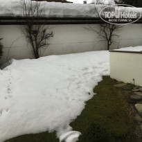 фото из отзыва ID 1711652