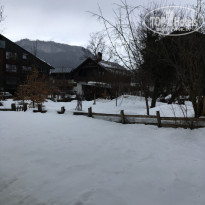 фото из отзыва ID 1711652