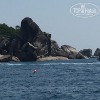 фото из отзыва ID 1711419