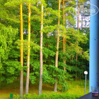 фото из отзыва ID 1711679