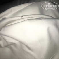 фото из отзыва ID 1711683