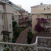 фото из отзыва ID 1711728