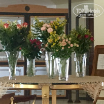 фото из отзыва ID 1711750