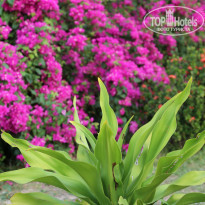 фото из отзыва ID 1711757