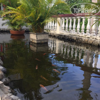 фото из отзыва ID 1711780