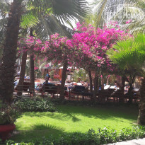 фото из отзыва ID 1711553