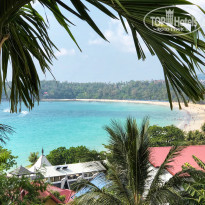 фото из отзыва ID 1711813