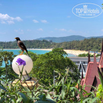 фото из отзыва ID 1711813