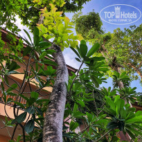 фото из отзыва ID 1711813