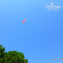 фото из отзыва ID 1711995