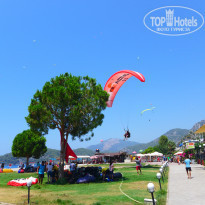 фото из отзыва ID 1711995