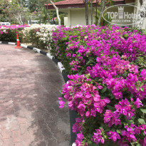 фото из отзыва ID 1712043
