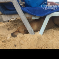 фото из отзыва ID 1712217