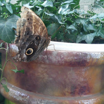 фото из отзыва ID 1712283