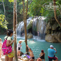 фото из отзыва ID 1712333