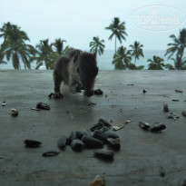 фото из отзыва ID 1712464