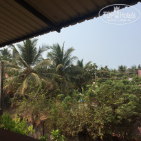 фото из отзыва ID 1712515