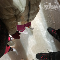 фото из отзыва ID 1712628