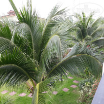 фото из отзыва ID 1712663