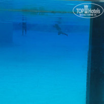 фото из отзыва ID 1712694