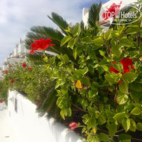 фото из отзыва ID 1712694