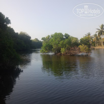 фото из отзыва ID 1712689