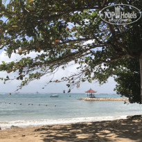 фото из отзыва ID 1712726